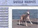 Dusilla Whippets
