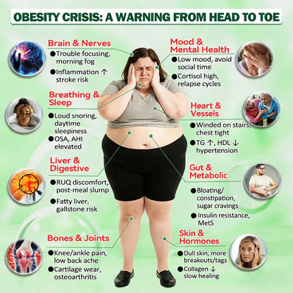 Infographic illustrating the head-to-toe health risks of an obesity crisis, including impacts on brain, sleep, liver, joints, heart, gut health, and metabolism. Highlights the need for effective weight management.
